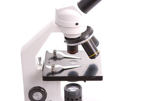 使用顯微鏡的方法步驟有哪些