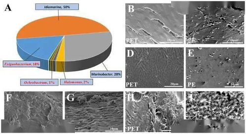 細(xì)菌純培養(yǎng)方法有哪些