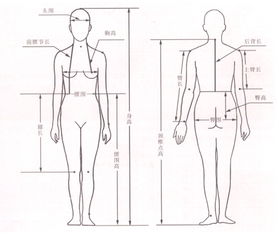 人體測量方法主要有哪些