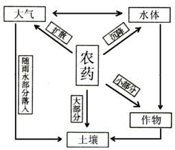 農(nóng)林技術(shù)中防止害蟲的方法有哪些
