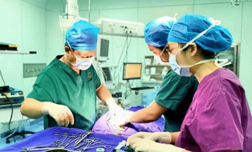 杭州痔瘡中醫(yī)治療方法有哪些