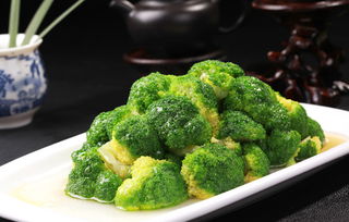 腎臟排毒的方法與食物有哪些