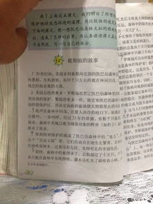 六級上冊第四單元說明方法有哪些