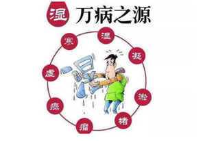 去除濕氣有什么方法有哪些