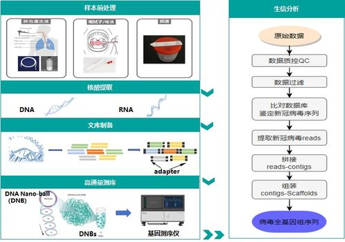 新冠檢測(cè)方法有哪些