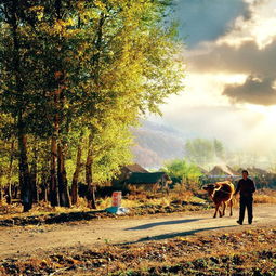 關于秋天早晨的現(xiàn)代詩句