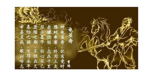 關(guān)于贊美老人的詩句集錦,贊美老人夕陽紅的詩句,贊美老人有活力的詩句