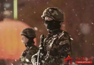 詩句,贊賞,軍人