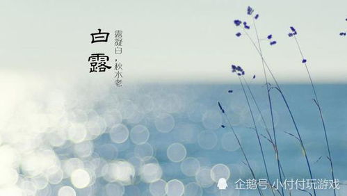 關(guān)于雨天的古詩(shī)句,形容雨天的唯美古詩(shī),木槿花唯美古詩(shī)句