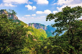 詩句,山中,描寫,美景