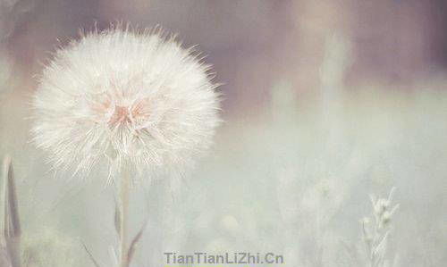 關于一個人瀟灑的詩句