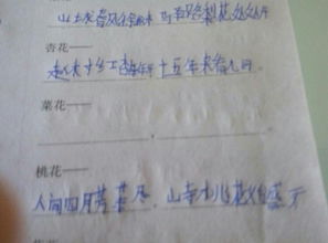 寫出一句含有數(shù)字的古詩,寫出一句帶有數(shù)字的古詩,寫出兩句帶有數(shù)字的古詩