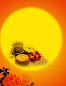 小學(xué)生情景古詩句