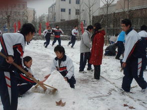 關于同學們打雪仗堆著雪人的詩句