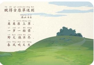 寫小草的詩句古詩,小草的詩句是古詩,關(guān)于小草的詩句古詩小學(xué)