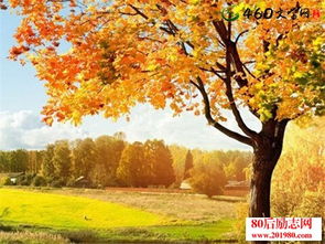 描寫春天冬天秋天和夏天的詩句有哪些,描寫春天秋天夏天冬天的成語,描寫春天,夏天,秋天,冬天景色的詩句