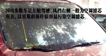 關(guān)于時光與落葉的詩句