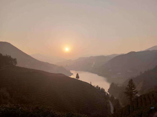 關(guān)于描繪長江景色的詩句