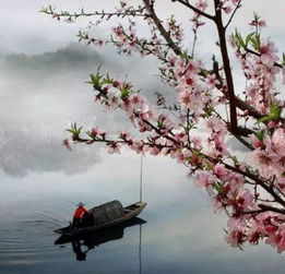 關(guān)于仲春的詩(shī)句