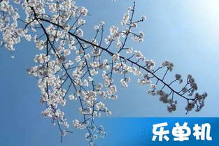 描寫仲春時節(jié)的詩句古詩