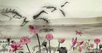 關(guān)于寫夏天景色的詩(shī)句古詩(shī)