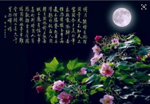 描寫3月份的詩句古詩