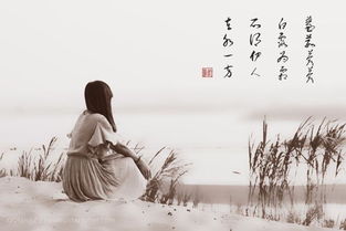 關(guān)于蒹葭的愛情詩句