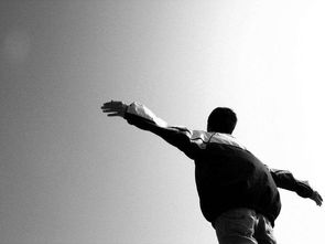 內(nèi)心向往自由的古詩句