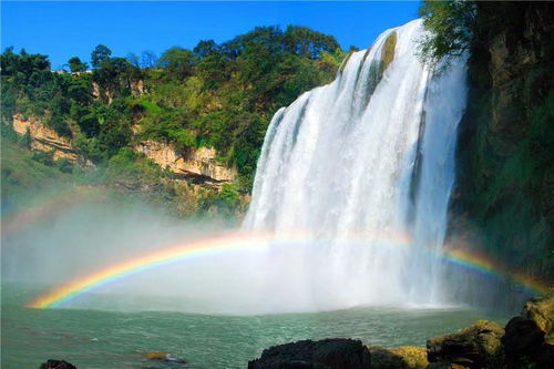 詩句,不放棄,希望