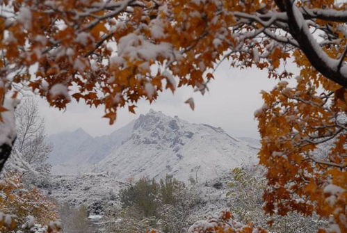 復(fù)國無望的詩句,古代復(fù)國的詩句,致死不忘復(fù)國的詩句