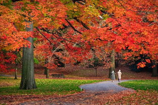 小學(xué)三級關(guān)于寫秋天的古詩句