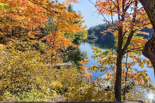 描寫秋天美景的古詩句三年級,描寫秋天美景的古詩句二年級,描寫秋天落葉美景的古詩句