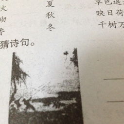 關于風箏的詩句及意思是什么意思