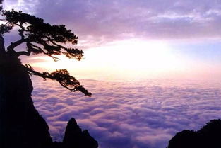 一句關(guān)于廬山的詩(shī)句