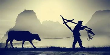 有關(guān)于農(nóng)人的詩句是