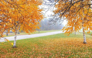 關(guān)于描寫秋天的古詩(shī)句