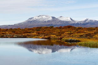 歌頌,詩句,大自然