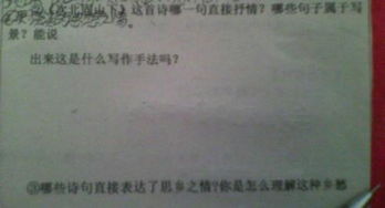 關于直接抒情的古詩句