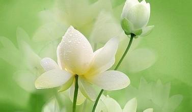 關(guān)于山的詩句優(yōu)美句子