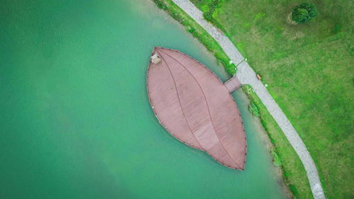 關(guān)于秋的美詩句