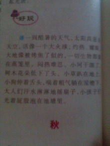 關(guān)于夏天的詩句一百字