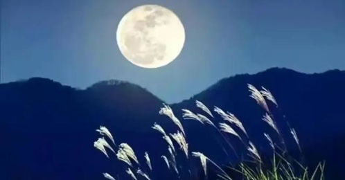 關(guān)于月的詩句不含月字