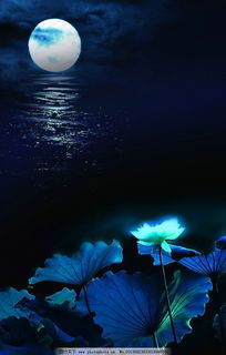 中秋想念愛人的詩(shī)句古詩(shī),想念妻兒的詩(shī)句古詩(shī),想念愛人的詩(shī)句古詩(shī)