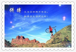 關(guān)于日出的勵(lì)志詩(shī)句