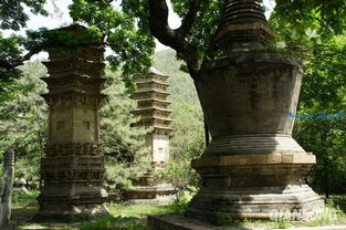 關(guān)于潭柘寺的詩句