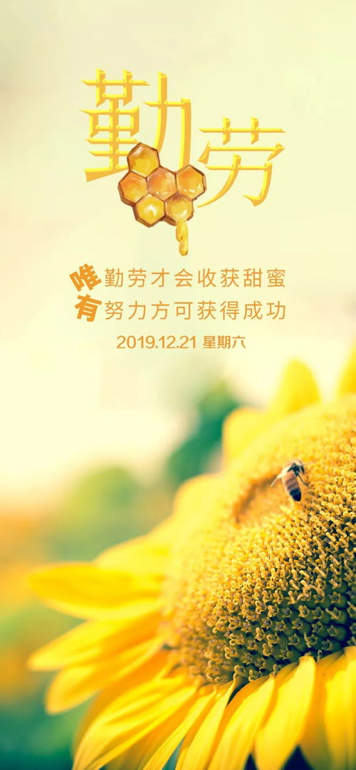 摘抄,詩句,激勵(lì),大全