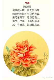 古詩(shī)中關(guān)于花語(yǔ)的詩(shī)句