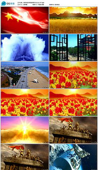 歌頌祖國歌頌黨的詩句,歌頌祖國的詩句古詩,歌頌祖國的經(jīng)典詩句