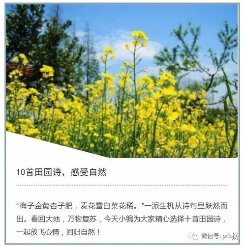 關(guān)于對(duì)大自然感覺的詩句