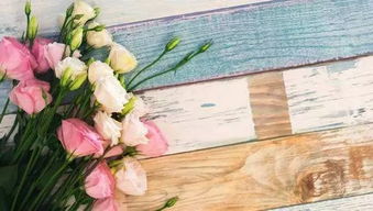 關(guān)于苦樂的詩句大全